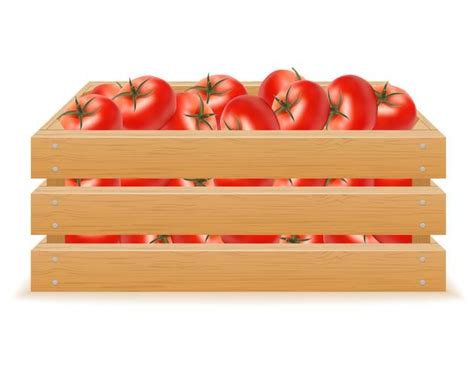 Caja De Madera De Ilustraci N Vectorial De Tomate Tomato Vegetables