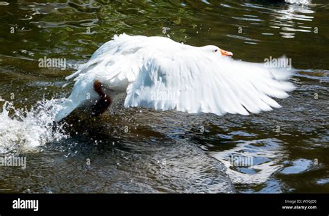 Delta flight takes off hi-res stock photography and images - Alamy 