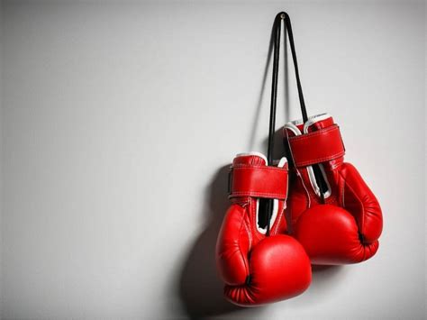 youth boxing partnership announced  bucks county