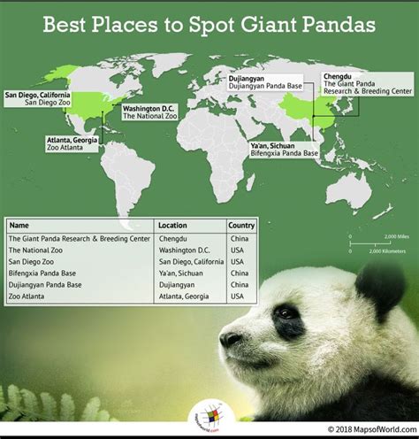 Best Places To Spot Giant Pandas On A World Map