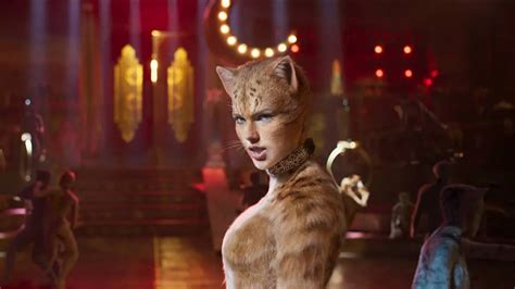 cats film