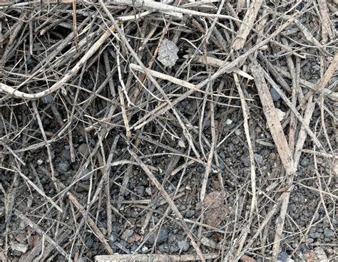 Droit du travail 2025 : Rupture et adaptation face aux mutations socio ... 