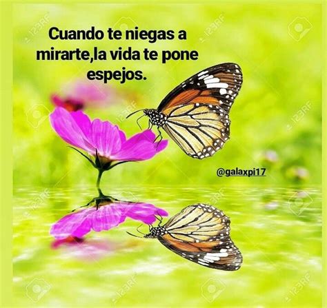 Pin By Marta C On Mariposas Frases Positivas Spiderman Spider