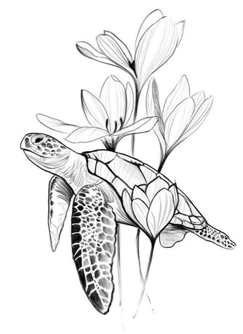 Turtle And Flower Tattoo Drawing