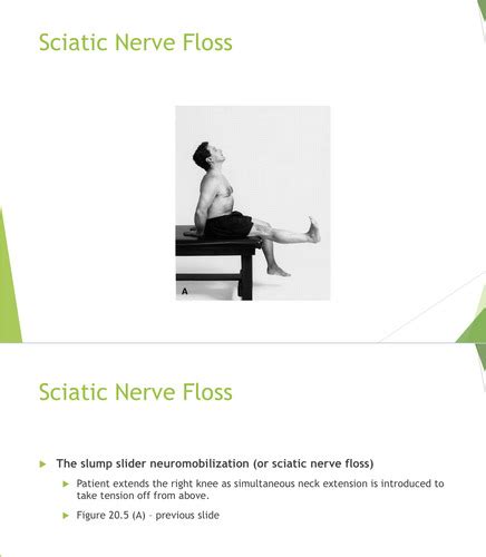 Met And Nerve Lab Flashcards Quizlet