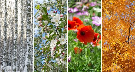 seasons   times farmers almanac