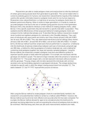 Meiosis Assignment A4 Meiosis Draw Out The Microscopically Defined