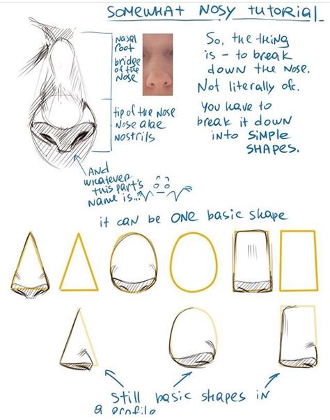 Pin By REDACTED On Drawing Ref Nose Drawing Guided Drawing Nose