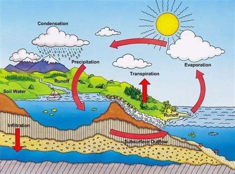 Pin By Maestra Anita On Ciencias Y Exploraci N Del Mundo Natural