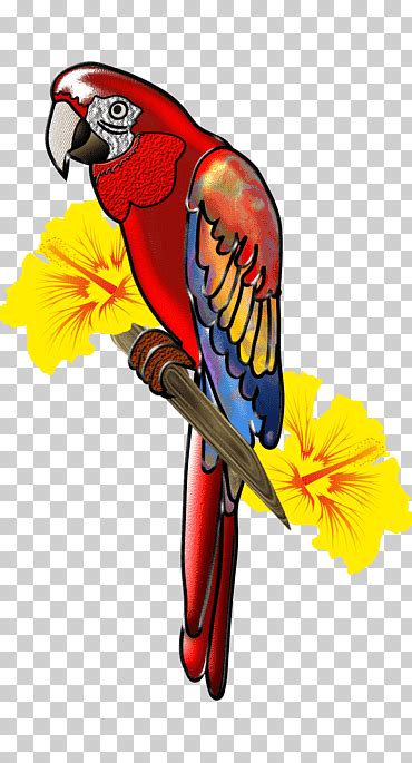 Pajaro Rojo Png Klipartz