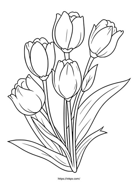 Printable Simple Line Art Flower Tulip Coloring Page Printable Flower