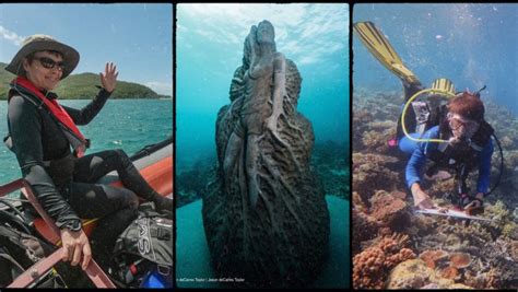 Contrasts And Inspiration On The Ice What Happens When A Coral Reef