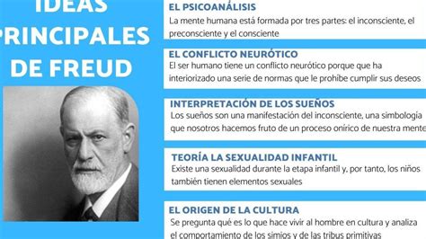 Las Etapas Que Propone Freud Y Su Impacto En La Personalidad