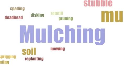 Mulching Animated Stock Video Footage Royalty Free Mulching Animated