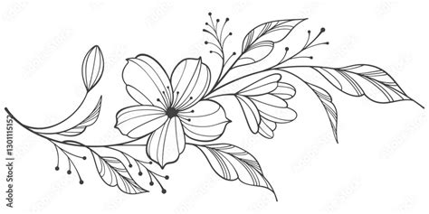 Line Art Floral Botanical On Transparent Background Vector Floral