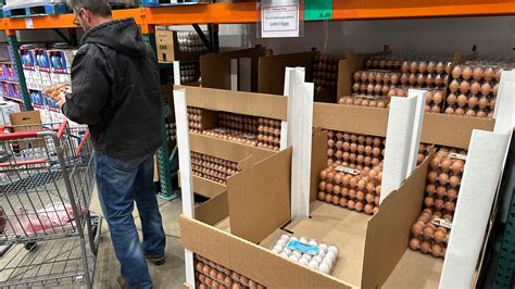 U S Investigates Egg Producers Over Soaring Prices The New York Times