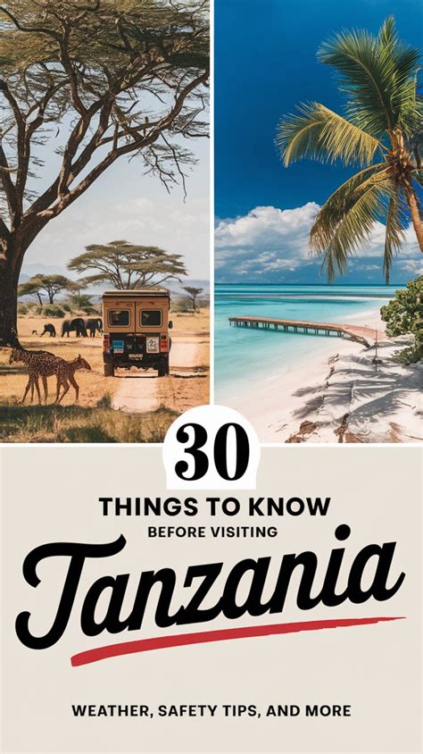 Top 10 Tanzania Travel Tips For An Epic African Safari Adventure