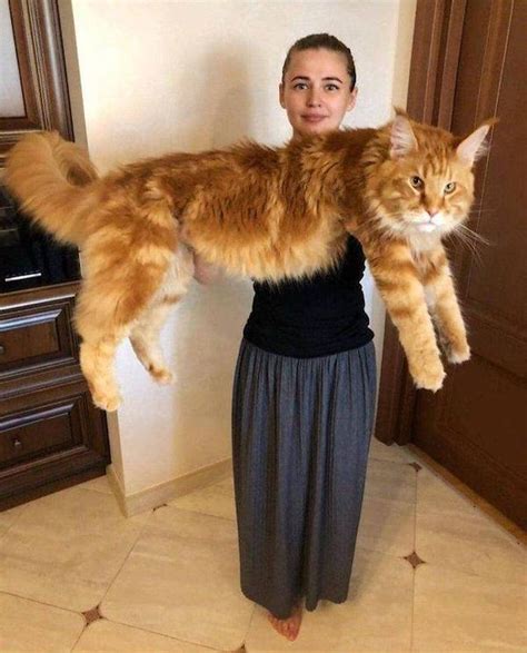 Daily Morning Awesomeness Best Funny Photos Of Week 2026 Top Humor