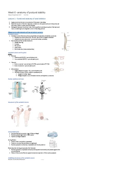 Week 6 - Lecture on Functional Anatomy of Postural Stability - Studocu 