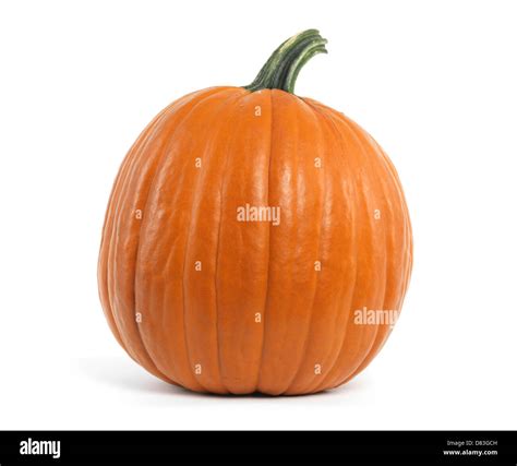 Large view on Cut Out Stock Images & Pictures - Alamy 