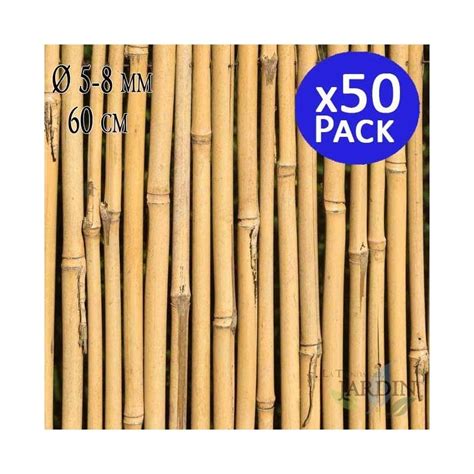 Pack Tutor De Bambu Cm Mm Varillas De Bambu Para Plantas