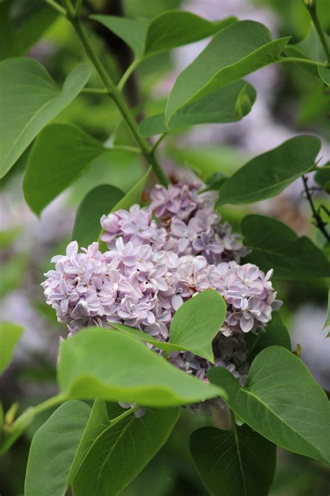 DOUBLE W - Photography