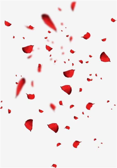 Pin By Mehak Editx On BAGROUND Rose Petals Falling Red Petals