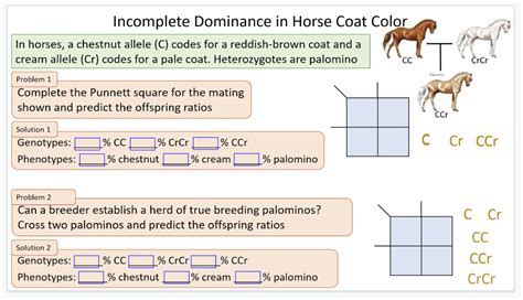 Incomplete Dominance Coat Color Media Rpgsite