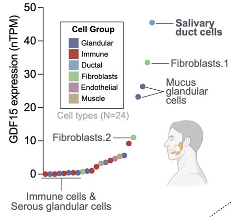 Aging Metabolism Publications