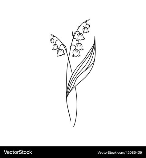 Lily Of The Valley May Birth Month Flower Vector Image On Vectorstock