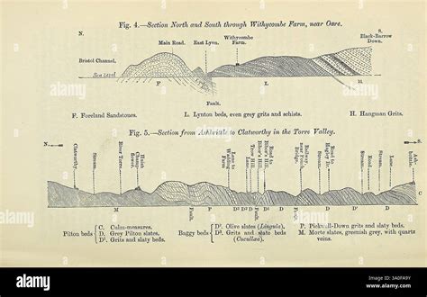 Detailed Representation Of Different Stratigraphic Units Hi Res Stock