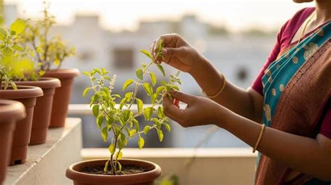 talishaca rapa thata yanaeriya sakataca sakata tamahal ha bthal thasal tara vaha savathha