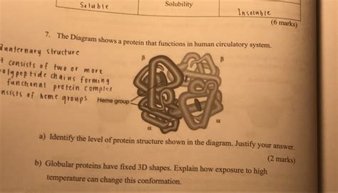 Selesai Solubility Marks The Diagram Shows A Protein That