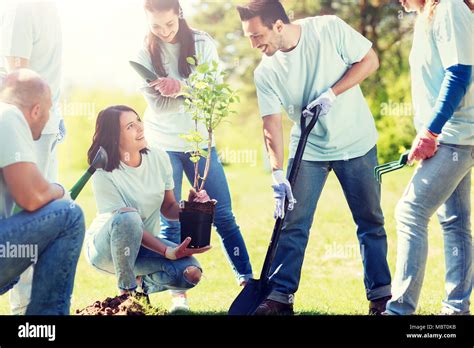 Middle age hispanic woman volunteer hi-res stock photography and images ...