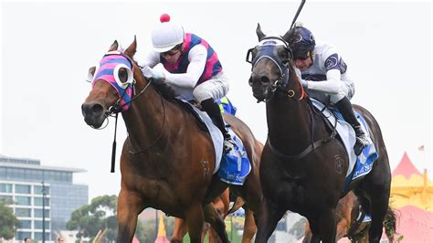 Hes In The Right Level Now Rey Magnerio Gunning For Oakleigh Plate