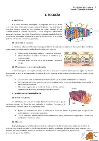 Tema Pdf