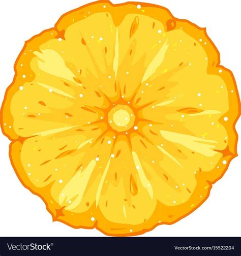 One Pineapple Slice Vector Image On Vectorstock Pineapple Vector