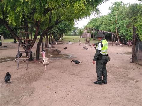 El Grupo De Protecci N Ambiental Y Ecol Gica Adelanta Campa As Para