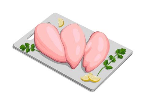 Premium Vector Vector Illustration Of Raw Chicken Breast Fillet