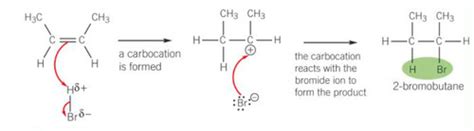 Basic Concepts Of Organic Chemistry Flashcards Quizlet