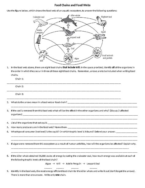 Food Chains And Food Webs Worksheet Food Chains And Food Webs Use The