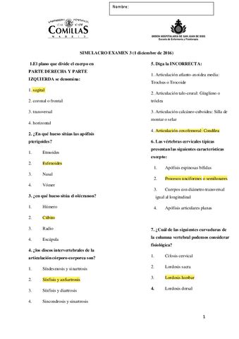 Anatomia 1o Cuatri Pdf