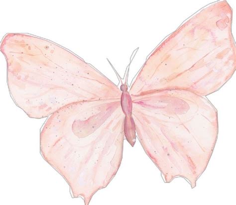 Pin By Denise Knabach On 0 Papelaria Criativa Butterfly Watercolor