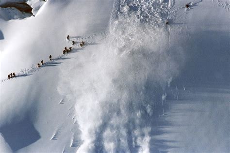incredible   show  power  nature