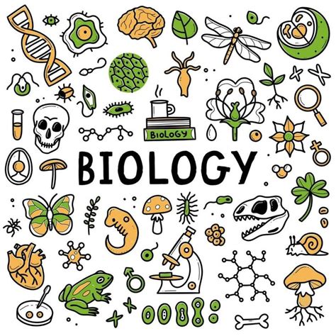 Biology Doodle Set Hand Drawn Science Elements