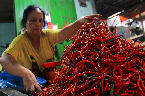 Badan Pusat Statistik Mencatat Harga Cabai Merah Alami Penurunan