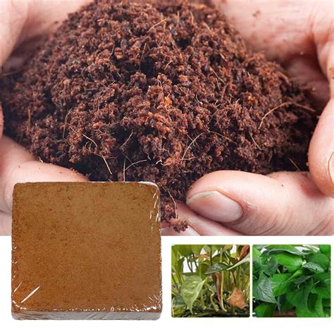 Compressed Coco Coir Bricks For Plants Organic Coco Coir Fiber Coconut