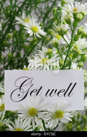 Get Well Card With Fresh Chamomile Flowers On Rustic Wooden Surface