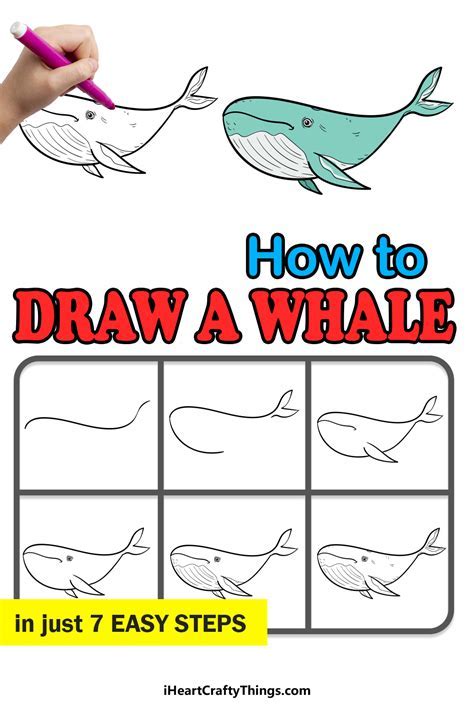 5 Tips Draw Whale