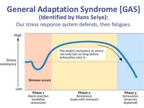 Foundations Of Exercise Physiology Week Term Strength Training